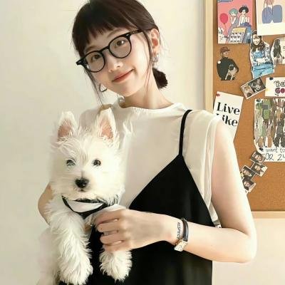当狗爱上猫粤语